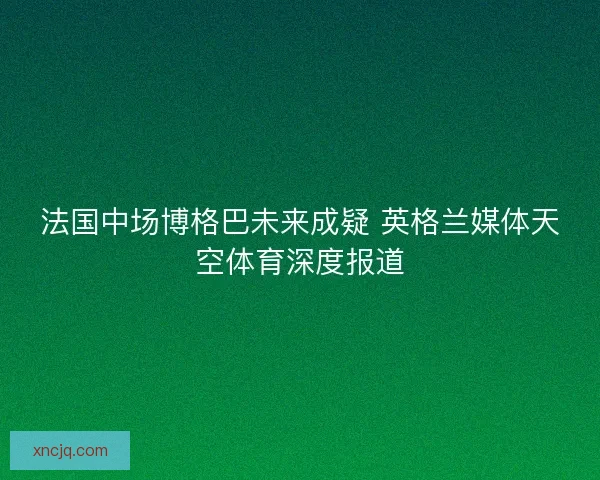 法国中场博格巴未来成疑 英格兰媒体天空体育深度报道
