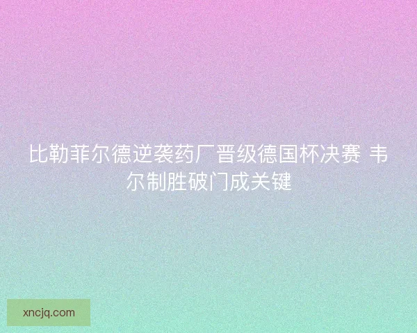比勒菲尔德逆袭药厂晋级德国杯决赛 韦尔制胜破门成关键